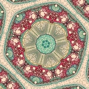 Meet your Posher, Amalia